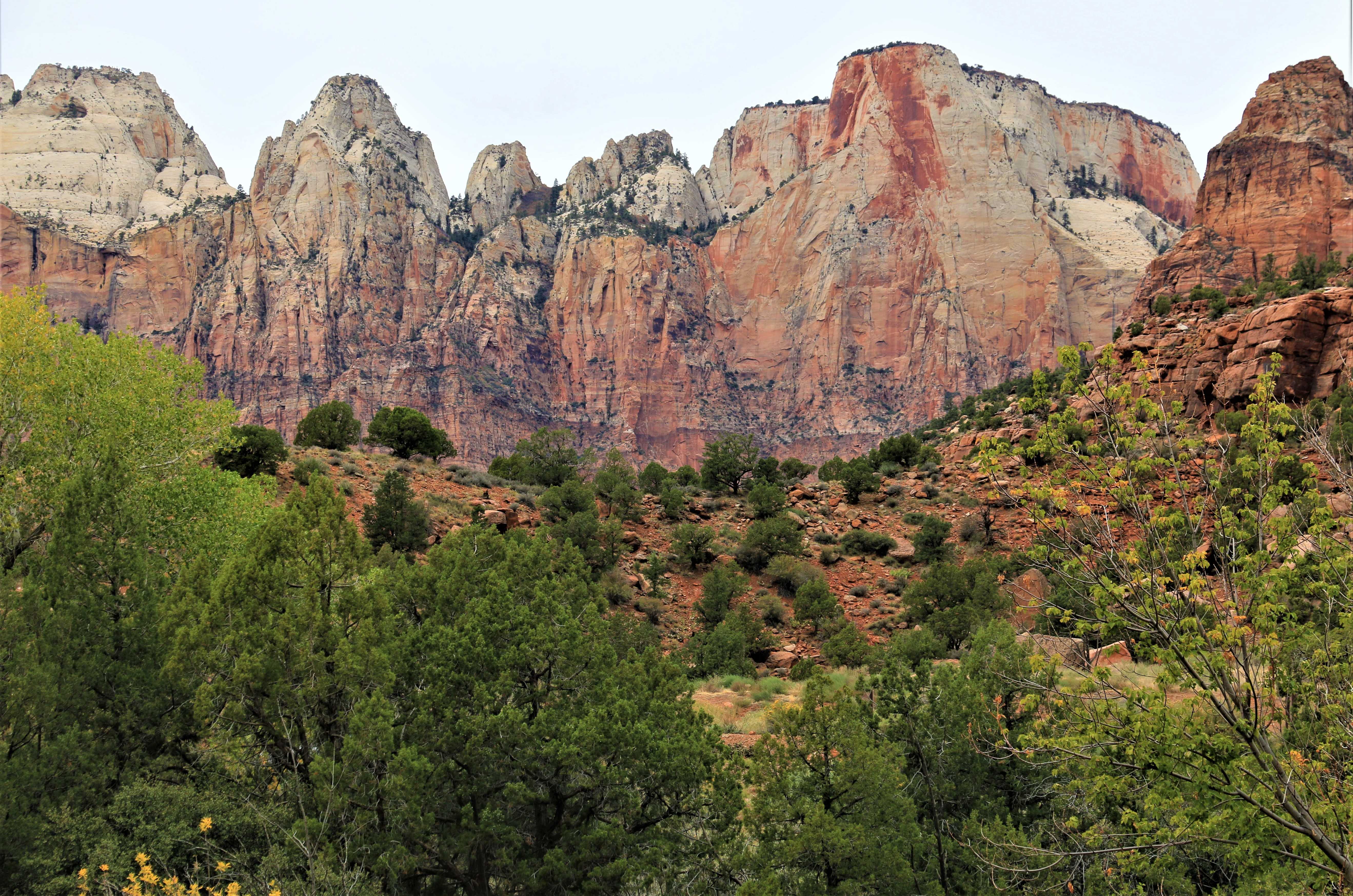 Zion NP